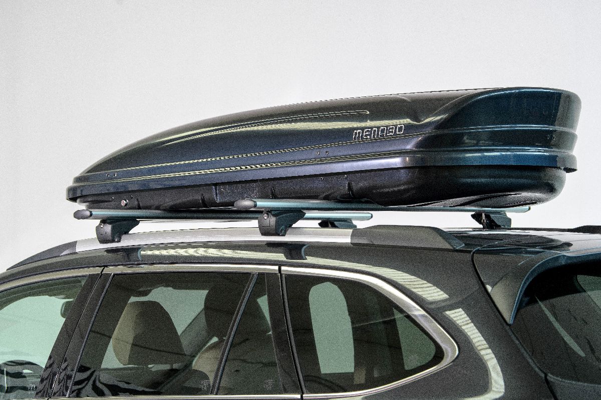 Dachbox Mania 580 schwarz / 2250x360x890mm