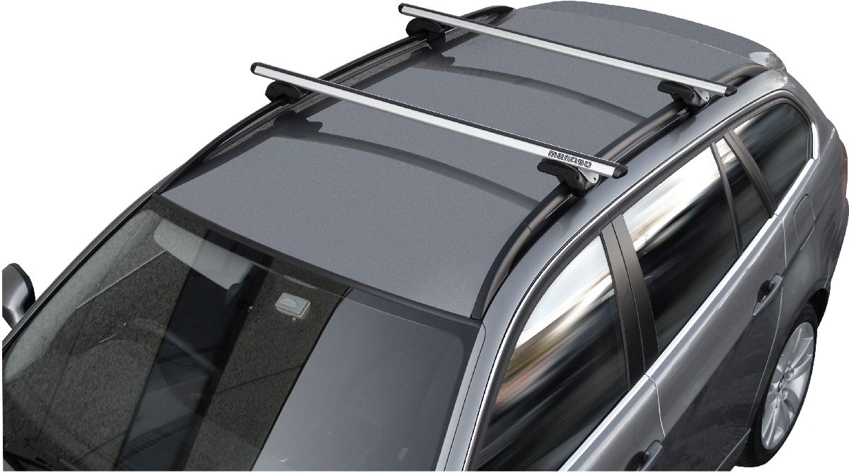 Dachtr�ger Dozer XXL silber