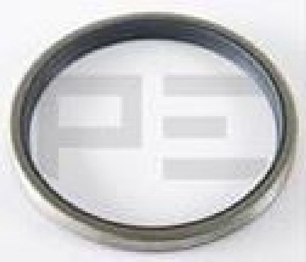 Dichtring / Abstreifer