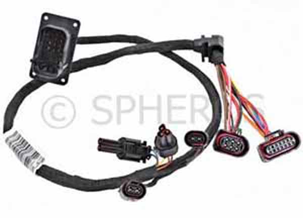 Kabelbaum HG Thermo *S*