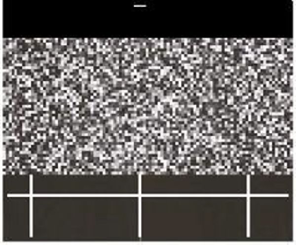 TEXA Kalibriertafel Frontkamera Kit f�r SUBARU (mit Schablone)