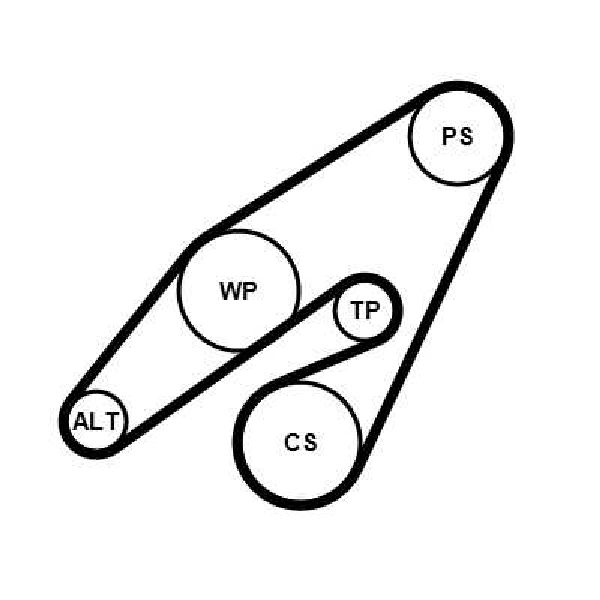 Keilrippenriemensatz 