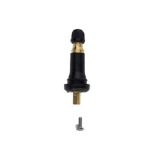 Schrader Service-Kit