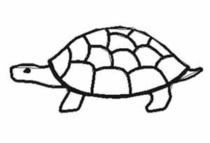 SWF Symbol