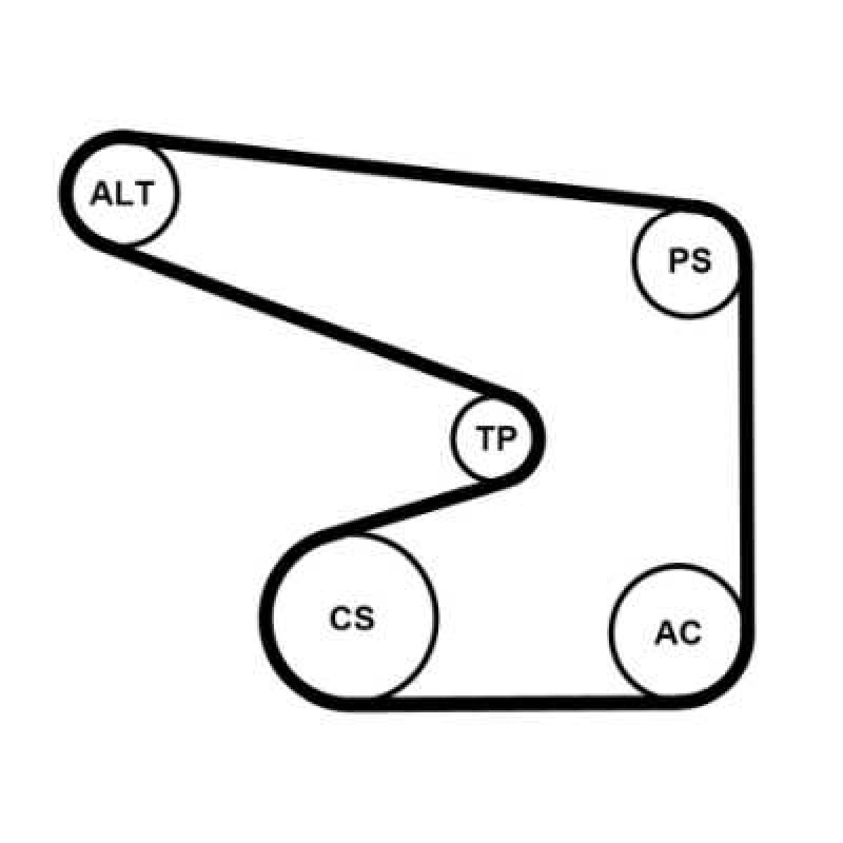 Keilrippenriemensatz 