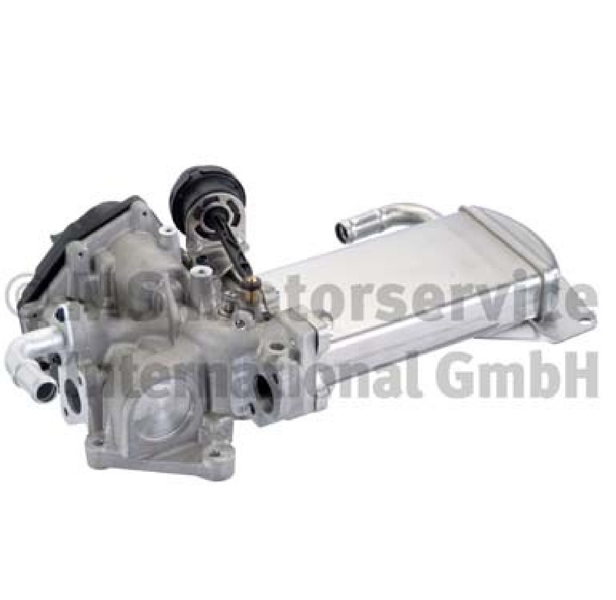 AGR-Ventil mit Dichtung