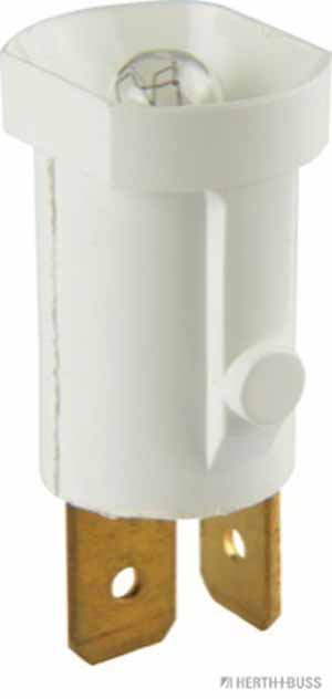 Glühlampe VPE 1