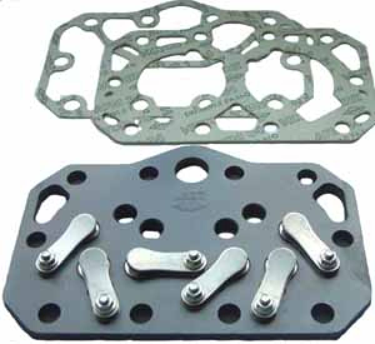 Ventilplatte komplett m.Dichtungen