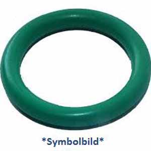 O-Ring  zu FT 1C75607H01