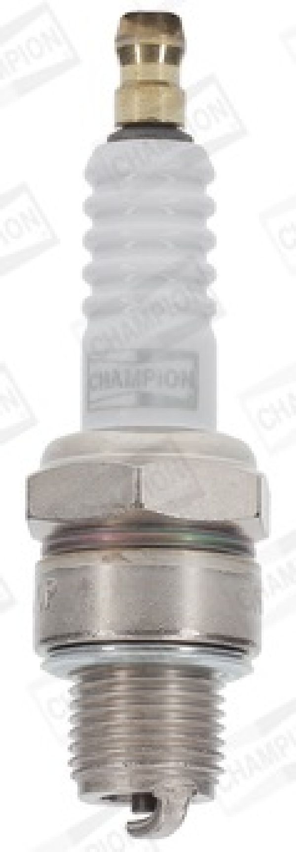 Champion Z&uuml;ndkerze L82C